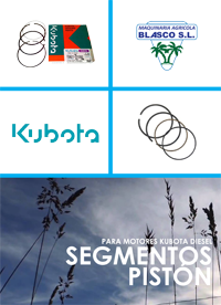 REPUESTOS PARA MOTORES kubota segmentos piston
